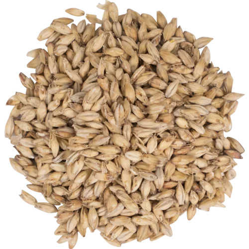 howdybrewer12000617