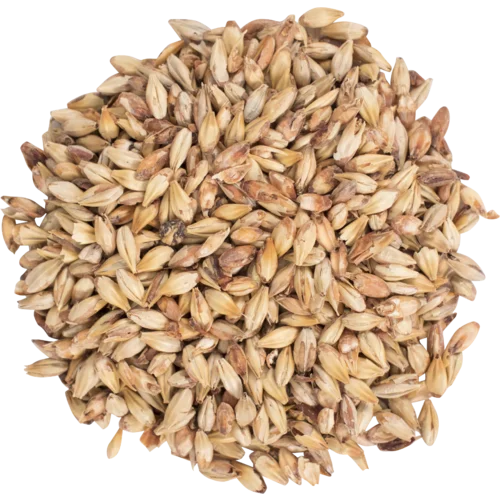 howdybrewer12022660