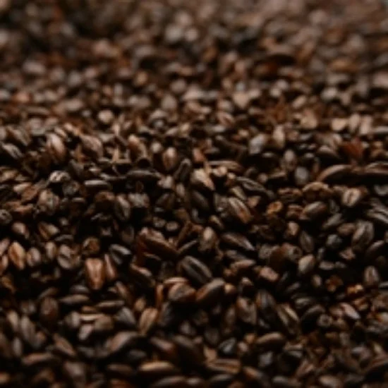howdybrewer12022903
