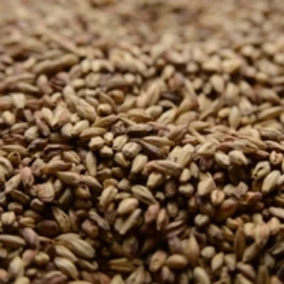 howdybrewer12023103