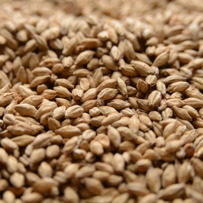 howdybrewer12026548