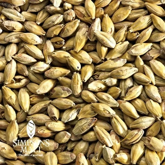howdybrewer12026864