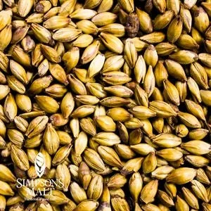 howdybrewer12027617