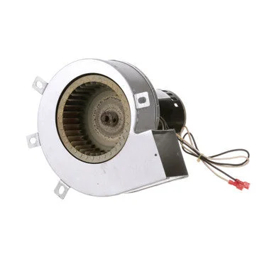 howdybrewer42218632