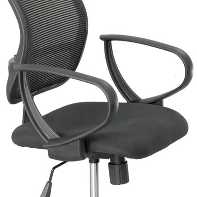 lionsdeal2-2097536