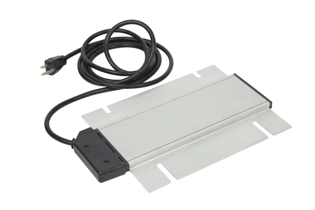 lionsdeal2-2118368